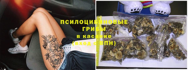 Альфа ПВП Касимов